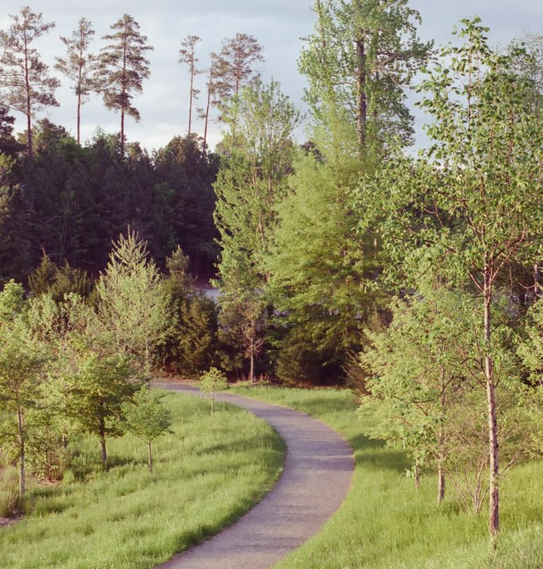 Path